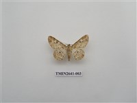 藏品(尺蛾169)的圖片